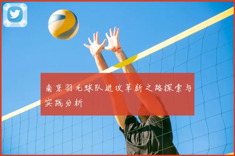 南京羽毛球队进攻革新之路探索与实践分析