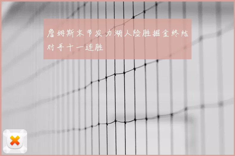 詹姆斯末节发力湖人险胜掘金终结对手十一连胜