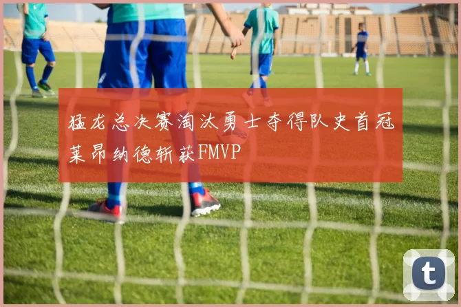 猛龙总决赛淘汰勇士夺得队史首冠莱昂纳德斩获FMVP
