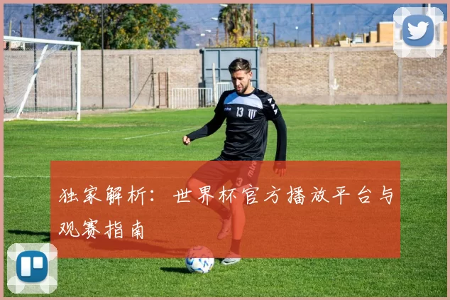 独家解析:世界杯官方播放平台与观赛指南