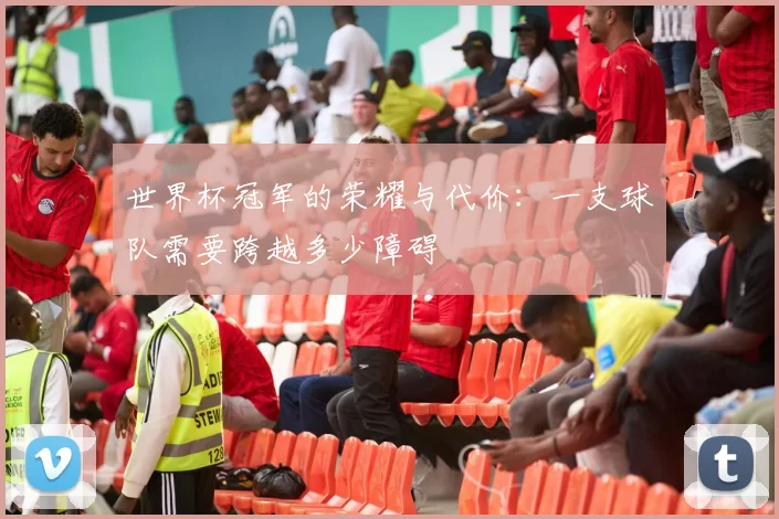 世界杯冠军的荣耀与代价:一支球队需要跨越多少障碍
