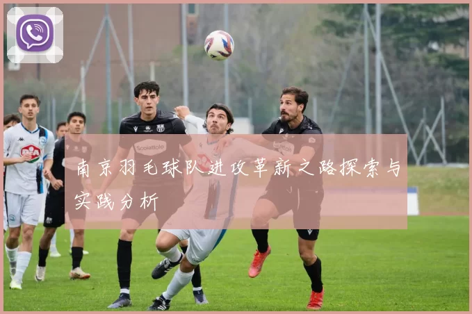 南京羽毛球队进攻革新之路探索与实践分析