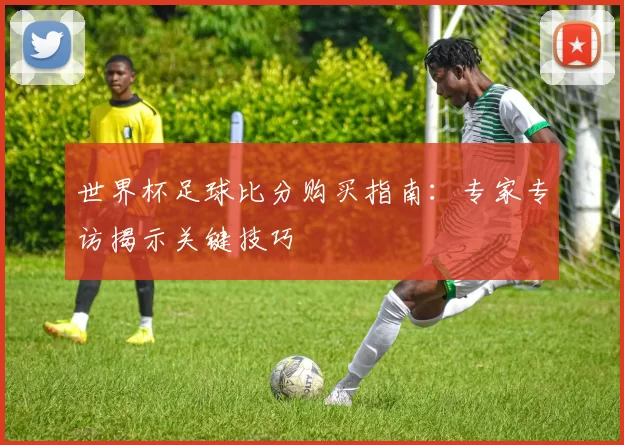 世界杯足球比分购买指南：专家专访揭示关键技巧