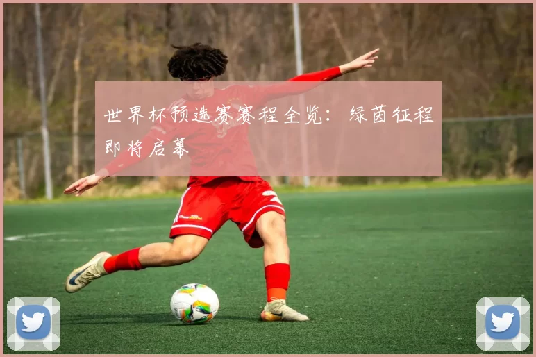 世界杯预选赛赛程全览：绿茵征程即将启幕