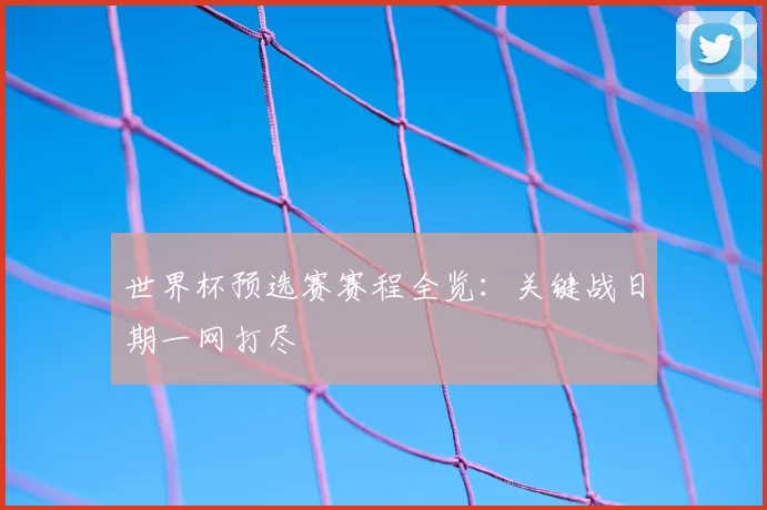 世界杯预选赛赛程全览：关键战日期一网打尽