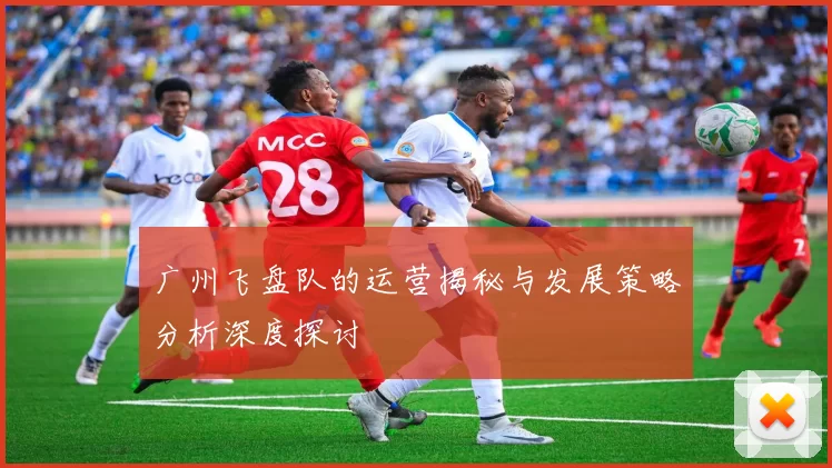广州飞盘队的运营揭秘与发展策略分析深度探讨