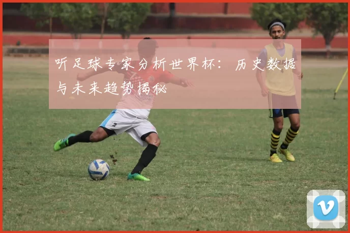听足球专家分析世界杯：历史数据与未来趋势揭秘