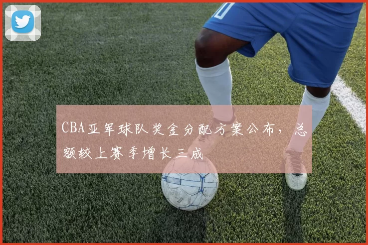 CBA亚军球队奖金分配方案公布，总额较上赛季增长三成