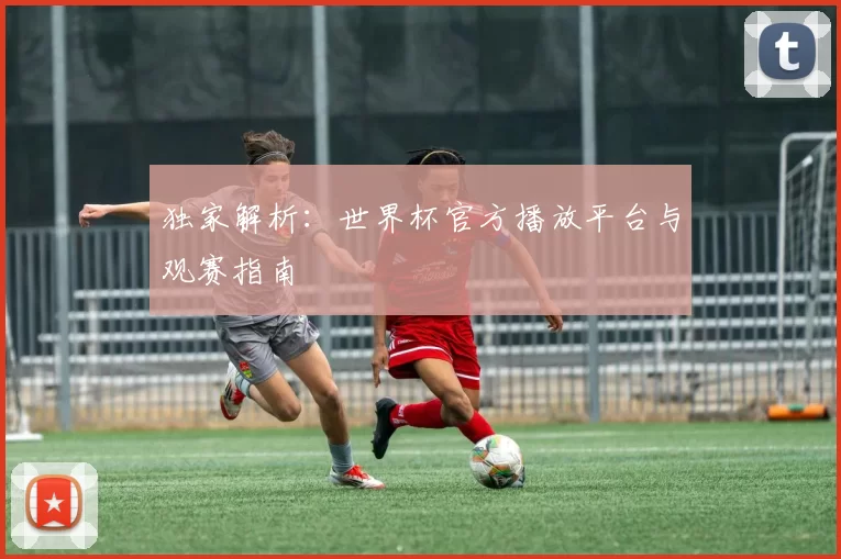 独家解析:世界杯官方播放平台与观赛指南