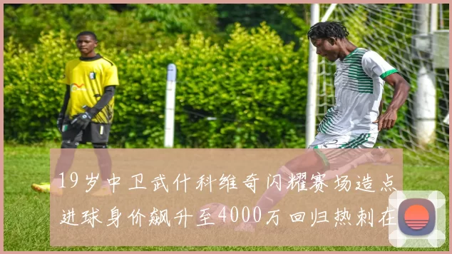19岁中卫武什科维奇闪耀赛场造点进球身价飙升至4000万回归热刺在即
